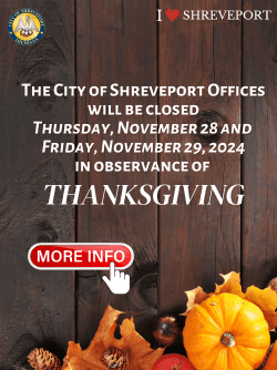 Thanksgiving Banner 2024