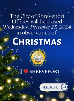 Christmas 2024 Banner