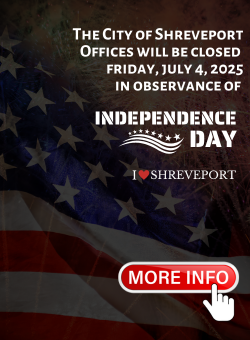 independence day web banner 2025