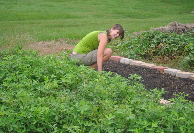 Valencia Community Garden Fall Planting Day 2012