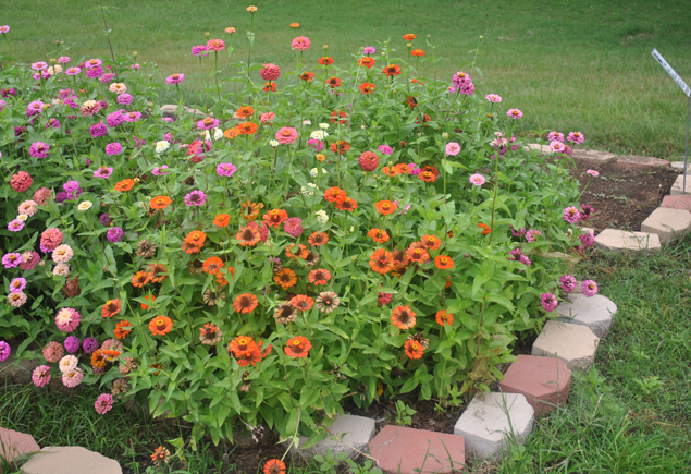 Valencia Community Garden Fall Planting Day 2012