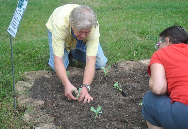 Valencia Community Garden Fall Planting Day 2012