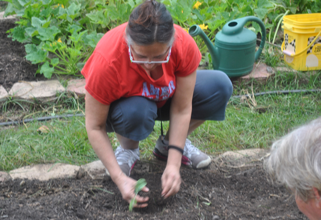 Valencia Community Garden Fall Planting Day 2012