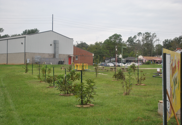 Valencia Community Garden Fall Planting Day 2012