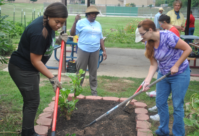 Valencia Community Garden Fall Planting Day 2012