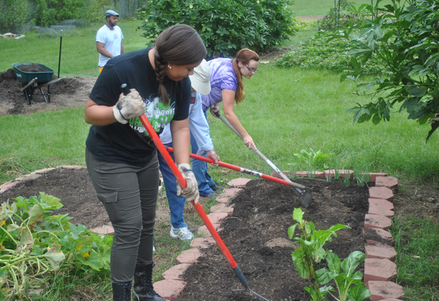 Valencia Community Garden Fall Planting Day 2012