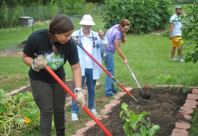 Valencia Community Garden Fall Planting Day 2012