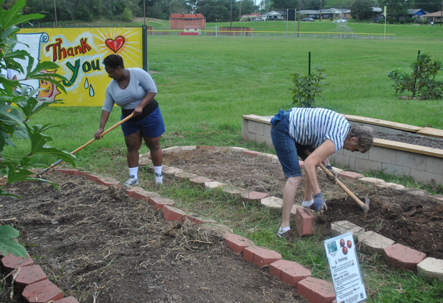Valencia Community Garden Fall Planting Day 2012