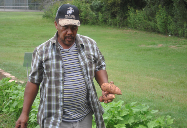 Valencia Community Garden Fall Planting Day 2012