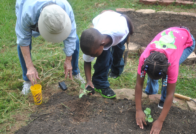 Valencia Community Garden Fall Planting Day 2012
