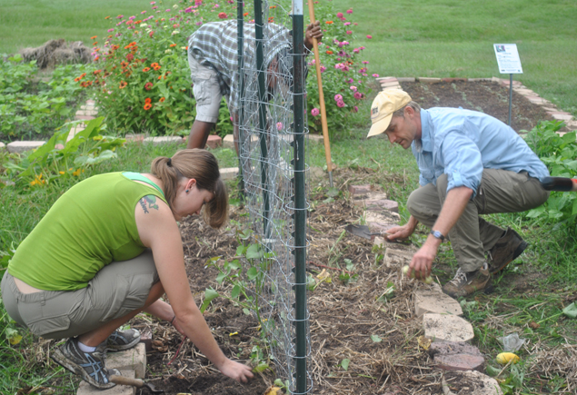 Valencia Community Garden Fall Planting Day 2012