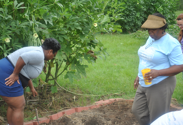 Valencia Community Garden Fall Planting Day 2012