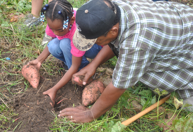 Valencia Community Garden Fall Planting Day 2012