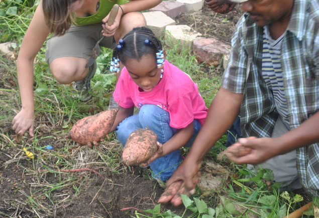 Valencia Community Garden Fall Planting Day 2012