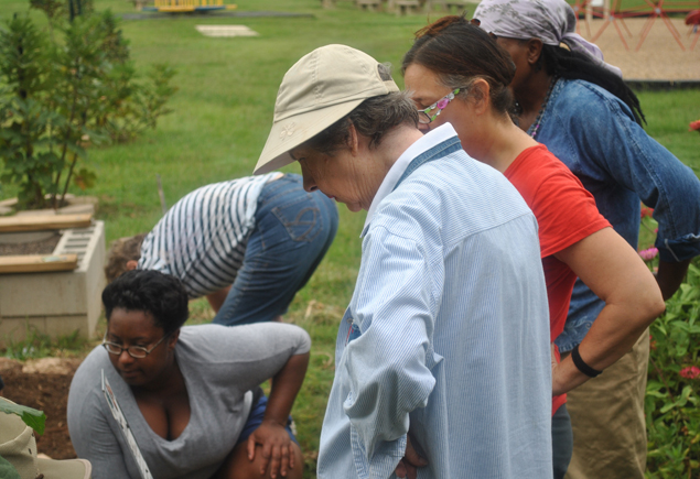 Valencia Community Garden Fall Planting Day 2012