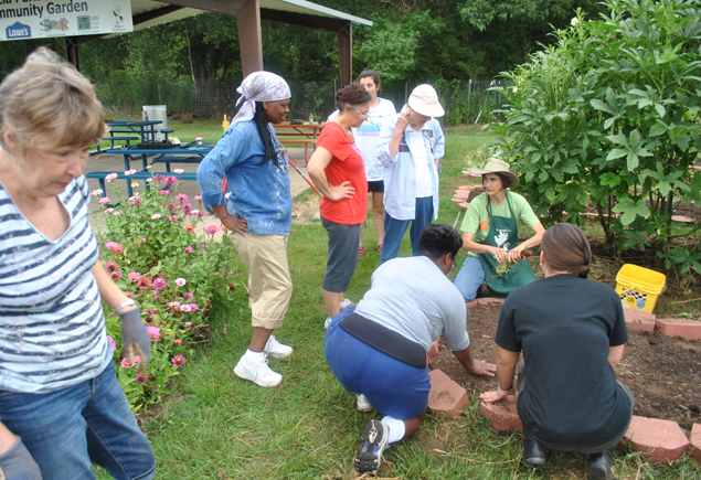 Valencia Community Garden Fall Planting Day 2012