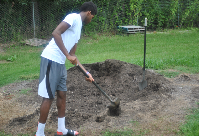 Valencia Community Garden Fall Planting Day 2012