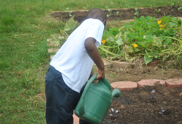 Valencia Community Garden Fall Planting Day 2012