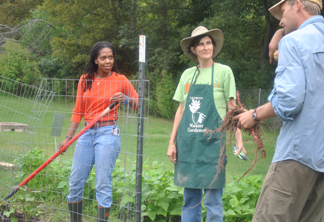 Valencia Community Garden Fall Planting Day 2012