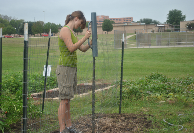 Valencia Community Garden Fall Planting Day 2012