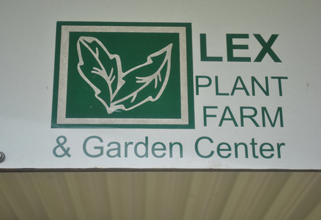 Valencia Community Garden Fall Planting Day 2012